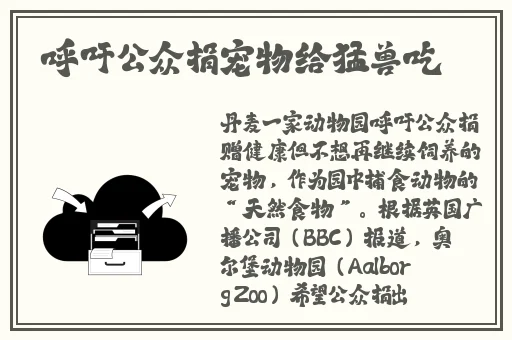 打扑克又叫啊又痛